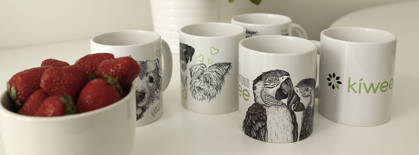 Kiwee mugs