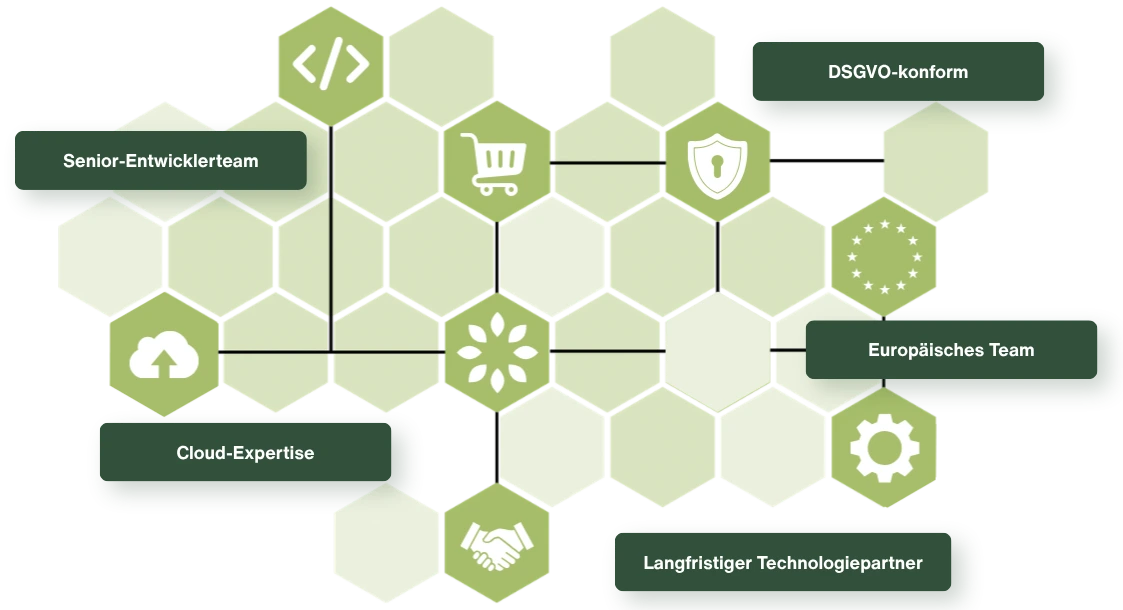 Sechseckige Grafik, die Kiwees fünf Vertrauenssignale veranschaulicht: erfahrene Ingenieure, DSGVO-Konformität, Team in Europa, Cloud-Expertise und langfristige Partnerschaft