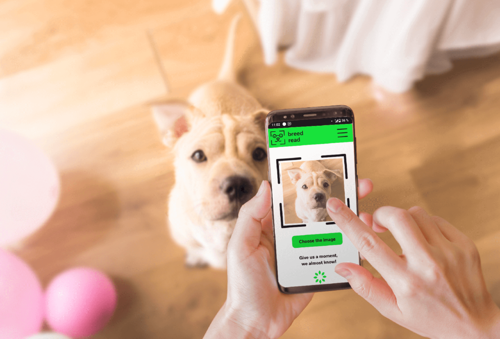 Dog breed cheap id app